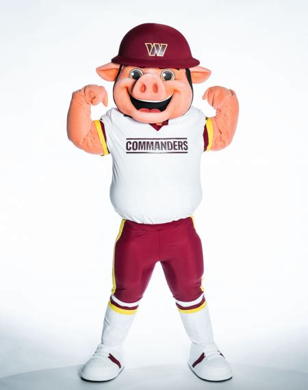 Washington Commanders Unveil New Mascot, Major Tuddy – SportsLogos.Net News