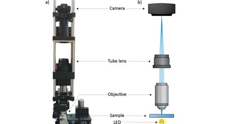 1: The purpose-built upright microscope used in all experiments to... | Download Scientific Diagram