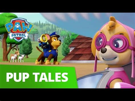 PAW Patrol | Pup Tales #21 | Rescue Episode