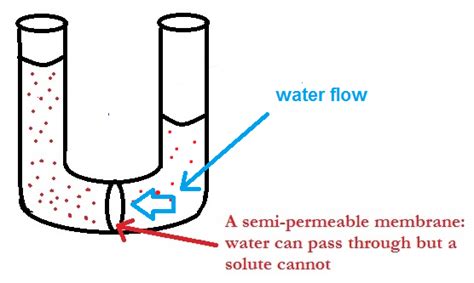 Osmotic Pressure Formula