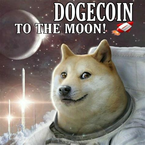 Dogecoin To The Moon : Straight To The Moon Videos From The Dogecoin ...