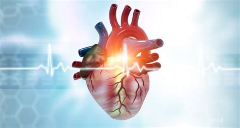 What are the Symptoms of Cardiogenic Shock?