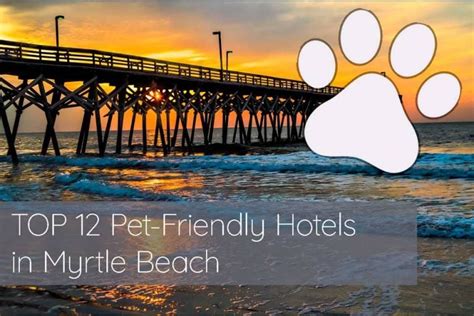 TOP 12 Pet-Friendly Hotels in Myrtle Beach in 2023