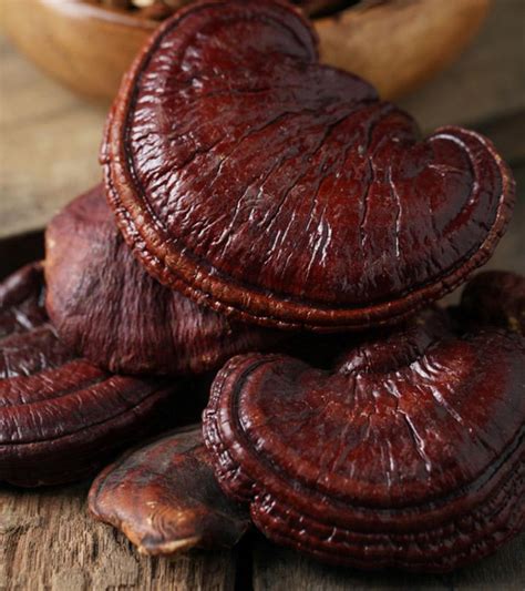 5 Reishi Mushroom (Ganoderma Lucidum) Benefits, Dosage, & Risks