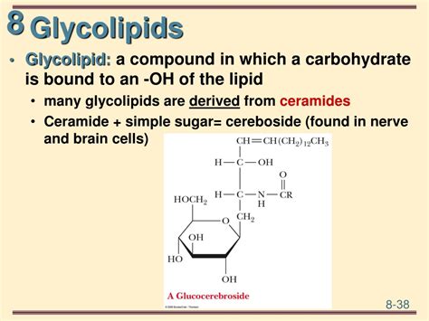 PPT - Lipids and Membranes PowerPoint Presentation, free download - ID:9637701