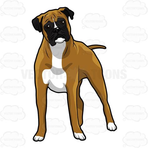 Boxer dog clipart - Clipground