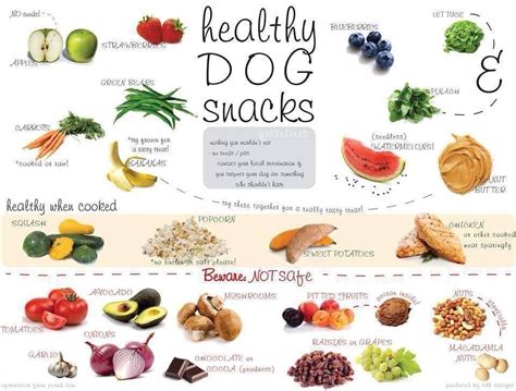 23 Best Healthy Dog Snacks - Best Recipes Ideas and Collections