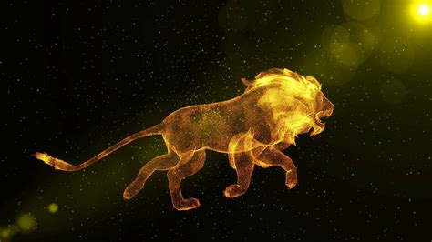 Lion Abstract Wild Animal Running Through Stock Motion Graphics SBV ...