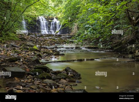 Hidden waterfall in a deep gorge with trickling white water. Forest of ...