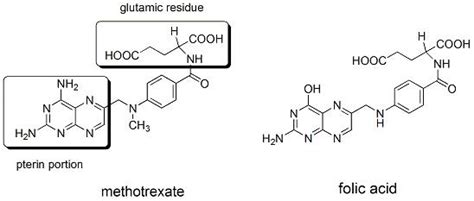 Structure of methotrexate. The molecular structure of methotrexate and... | Download Scientific ...