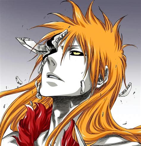 Ichigo est-il un Quincy, un Hollow ou un Soul Reaper dans Bleach ? Pouvoirs expliqués ! - All ...