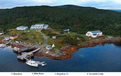 Newfoundland Original Hooked Rugs - Paula Flood: Woody Island Hooking Retreat September 30th ...