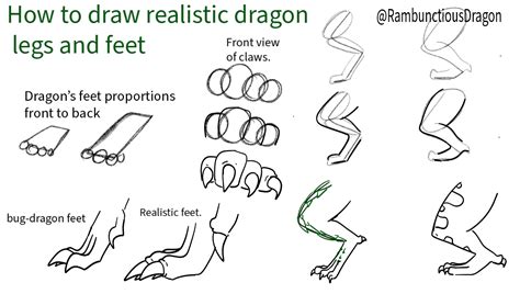 How to draw realistic (JA) dragon feet and legs | Fandom