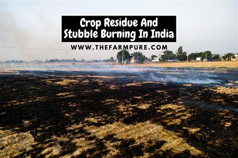 Crop Residue And Stubble Burning In India - The FarmPURE