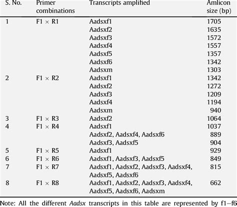 transcripts amplicon size profile using different primer-pairs ...