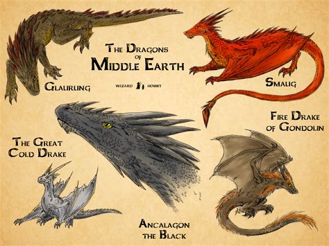 the drakes of middle earth | Dragons of middle earth, Middle earth, The hobbit