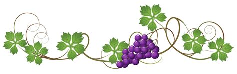 Corner clipart grape vine, Corner grape vine Transparent FREE for ...