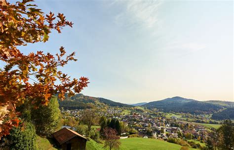 The Bavarian Forest: How to Plan a Trip in Summer or Winter