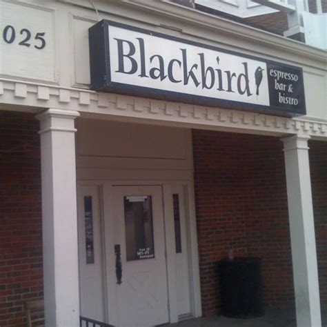 Blackbird Espresso Bar & Bistro - Coffee Shop