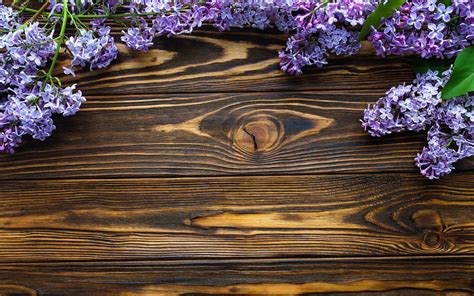 Wallpaper Blue purple flowers, lilac, wood board 2880x1800 Picture, Image