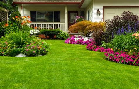 Como escolher as plantas de jardim ideais para minha casa?