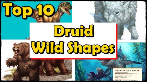 Top 10 Best Moon Druid Wild Shapes In Dnd 5e – Otosection