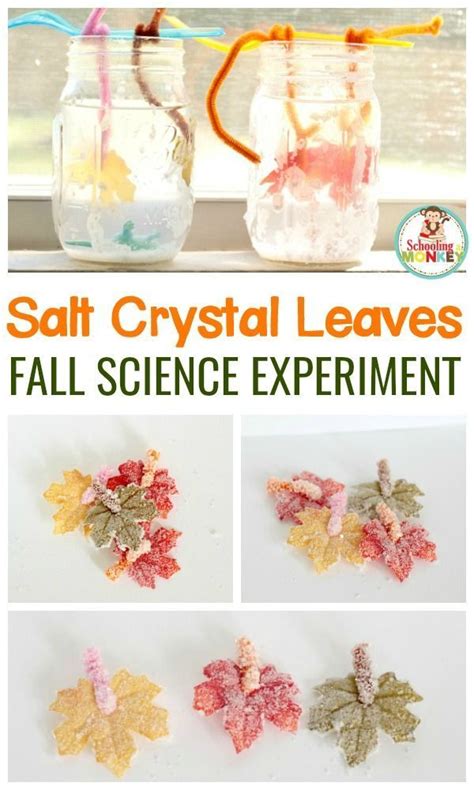 salt crystal leaves fall science experiment with text overlay that says ...