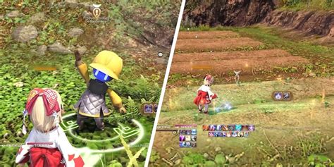 How To Grow Crops on Island Sanctuary in Final Fantasy XIV