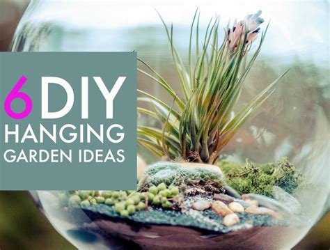 6 Creative hanging gardens that you can make yourself