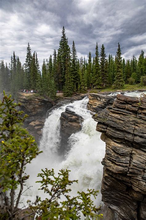 Athabasca Falls - The Intrepid Life