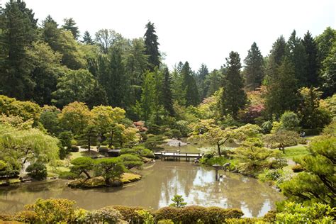 Photos: Japanese Garden at Seattle Arboretum - Paul S. Randal