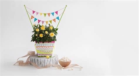 Potted yellow roses plant bush with Happy Birthday banner and popcorn in a small bowl | Flickr ...
