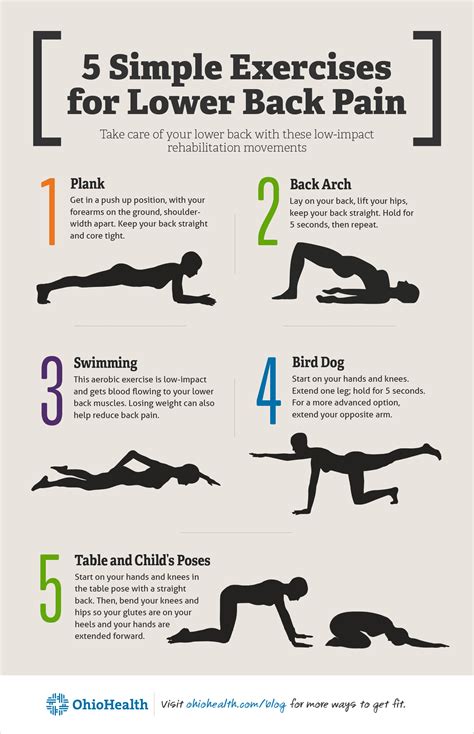 5 Super Simple Exercises for Lower Back Pain [Infographic]
