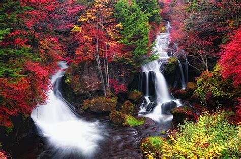 11,200+ Autumn Japanese Waterfalls Stock Photos, Pictures & Royalty-Free Images - iStock