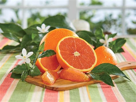 Buy Cara Cara Navel Oranges Online