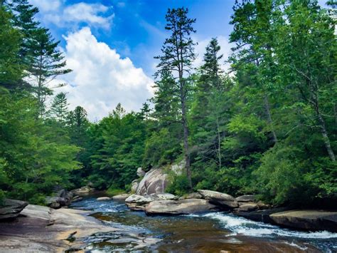 Located in Brevard's backyard, the DuPont State Forest is a 10,000-acre outdoor mecca with ...