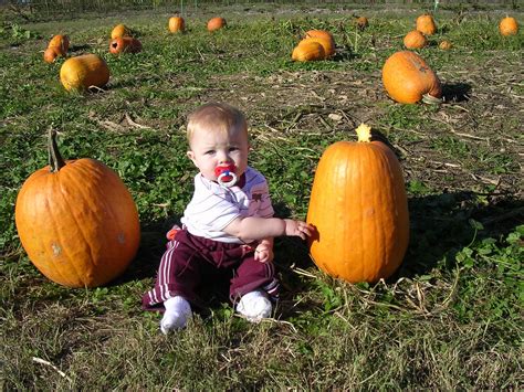 Enjoying Life With 4 Kids: Pumpkin Patch Favorites