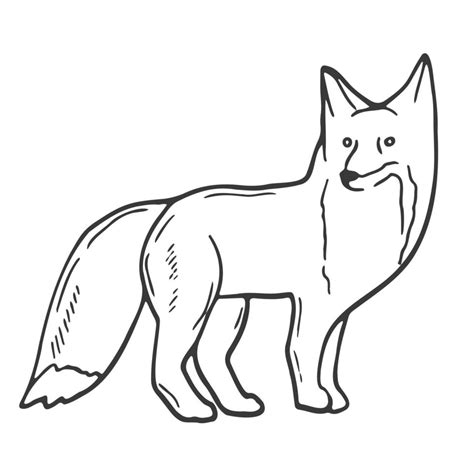 Contour image of a fox. Black silhouette of an animal. Doodle icon of a sitting fox. Simple ...