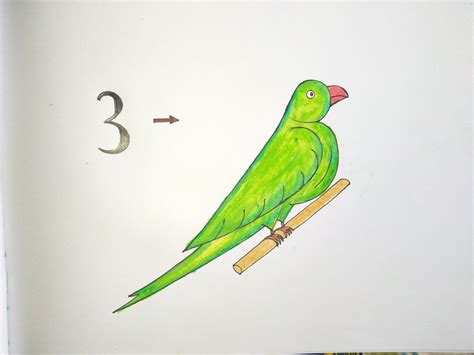 Number Parrot Drawing | Parrot drawing, Kids art class, Easy drawings