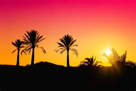 Phoenix sunset Stock Photos, Royalty Free Phoenix sunset Images | Depositphotos