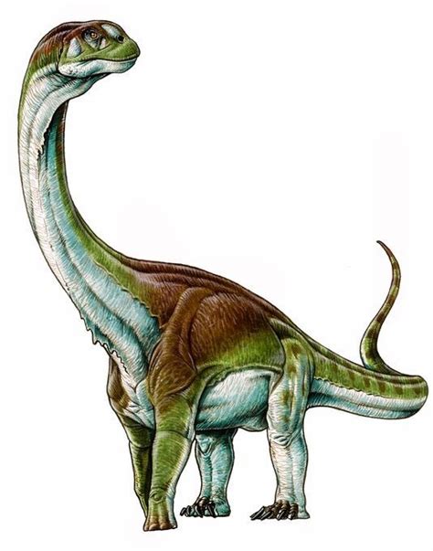 Species New to Science: [Paleontology • 2017] Patagotitan mayorum • A New Giant Titanosaur Sheds ...