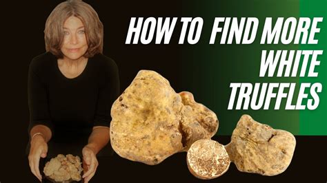 Truffle Hunting Tutorials - The Real Truffle Hunters Ltd