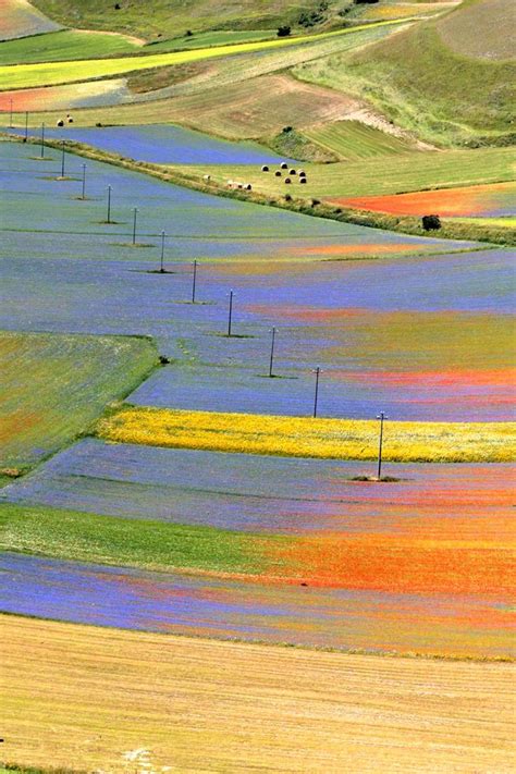 Fioritura Castelluccio Norcia fioritura altopiano Castelluccio | Paesaggi, Idee progettazione ...