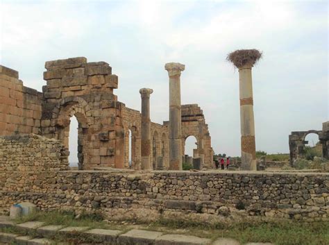 Volubilis, Morocco | Definitive guide for seniors - Odyssey Traveller