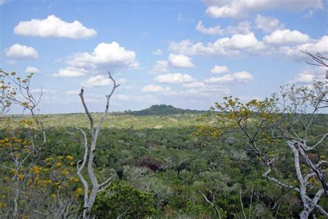 El Mirador - ancient Maya metropolis | Wondermondo