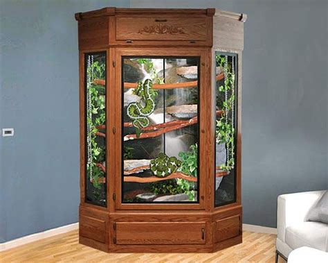 Pin on Reptile Stuff | Reptile enclosure, Snake terrarium, Reptile cage