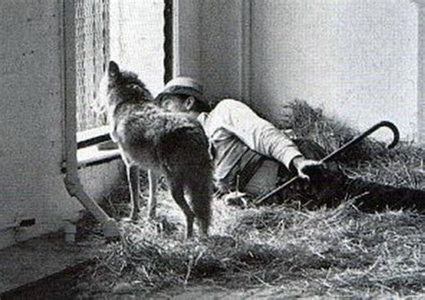 Joseph Beuys e il coyote. I like America and America likes me. | Arte a ...