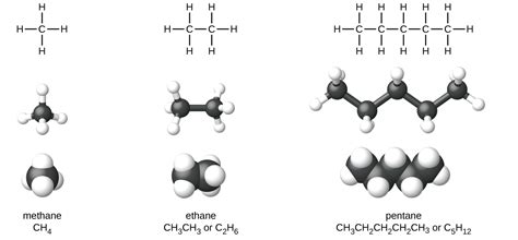 20.1: Hydrocarbons - Chemistry LibreTexts