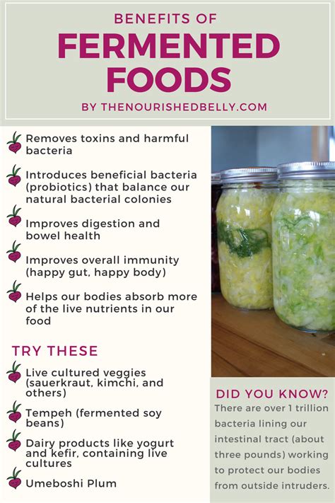 Show Some Love to Your Gut Bacteria with Fermented Foods — The ...