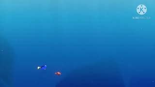 Best of moonfish finding-nemo - Free Watch Download - Todaypk